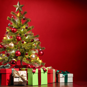 Holiday Sale - 12/11/23 - 12/31/23