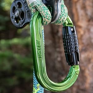 Notch D-Shape Carabiner