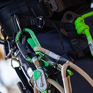 Notch D-Shape Carabiner