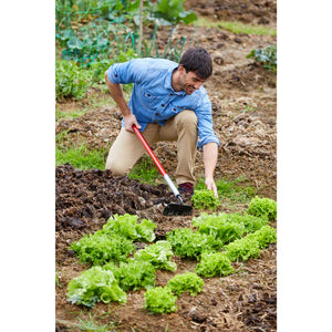 Corona Garden Hoe, 6 in. Blade, 60 in. Aluminum Handle
